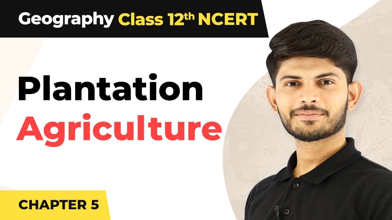 Plantation Agriculture Explained For Class 12 Geography Primary plantation-agriculture-explained-for-class-12-geography-primary